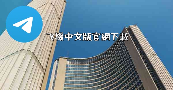 飞機中文版官網下載