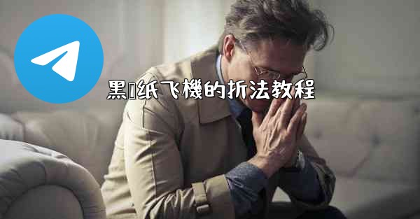 黑鸢纸飞機的折法教程