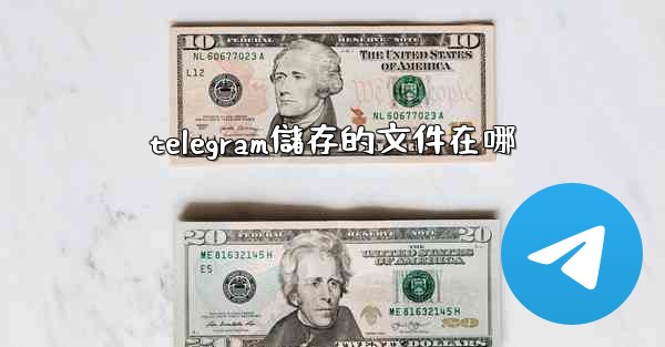 telegram儲存的文件在哪
