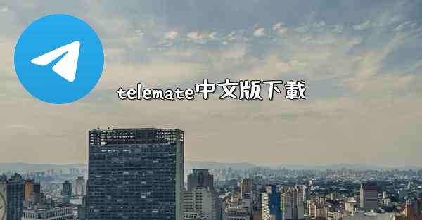 telemate中文版下載
