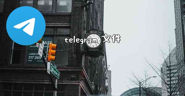 telegram 文件