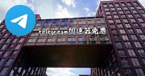 telegream加速器免费