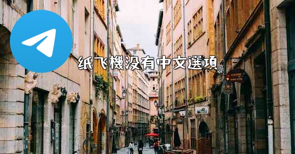 纸飞機没有中文選項