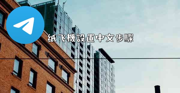 纸飞機設置中文步驟