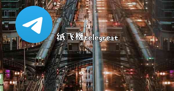 纸飞機telegreat