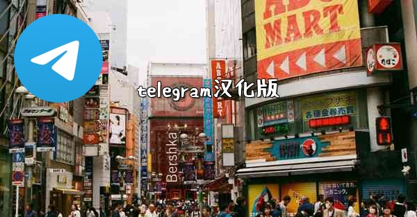 telegram汉化版