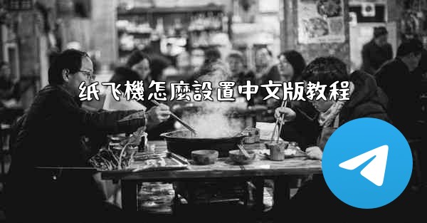 纸飞機怎麼設置中文版教程