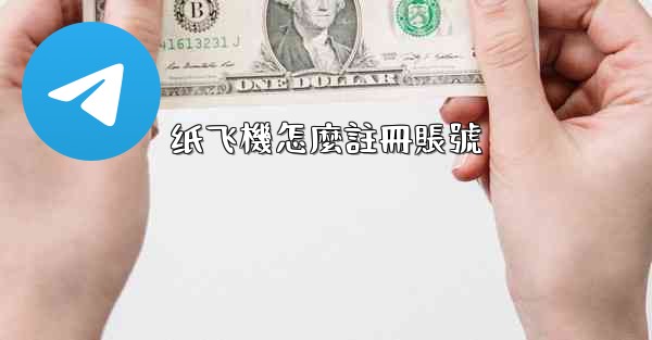 纸飞機怎麼註冊賬號