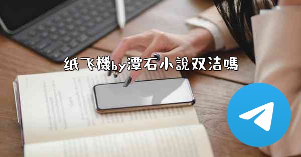 纸飞機by潭石小說双洁嗎