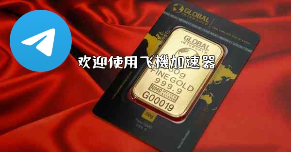 欢迎使用飞機加速器