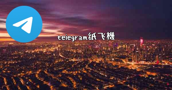 teiegram纸飞機