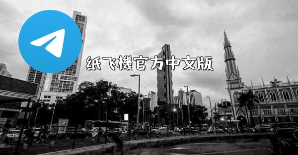 纸飞機官方中文版