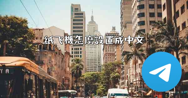 纸飞機怎麼設置成中文