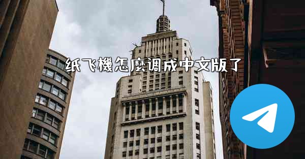 纸飞機怎麼调成中文版了