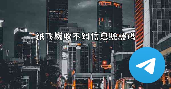 纸飞機收不到信息驗證碼