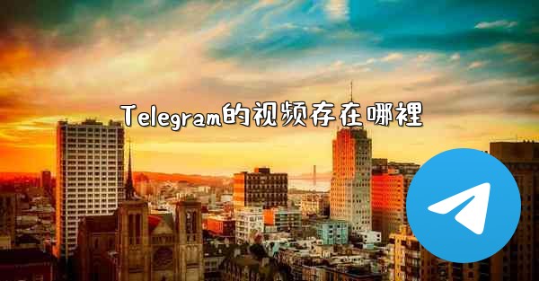 Telegram的视频存在哪裡