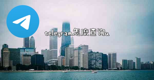 telegram怎麼查询u