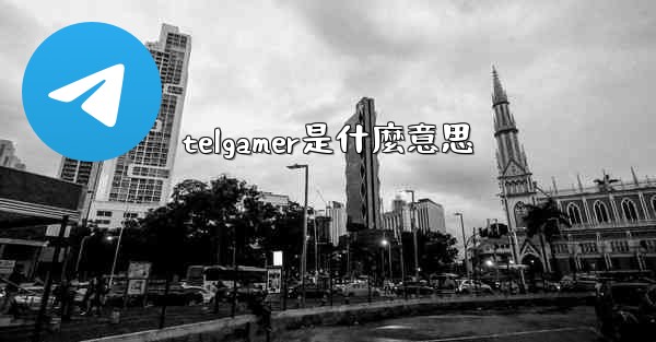 telgamer是什麼意思