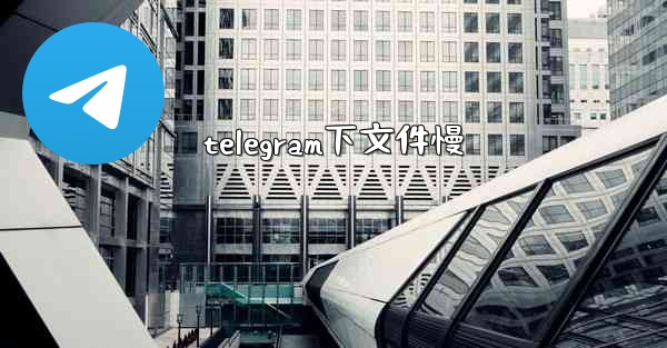 telegram下文件慢