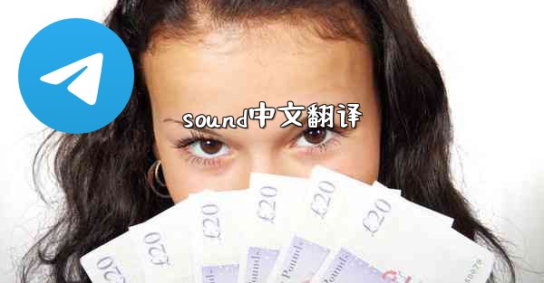 sound中文翻译