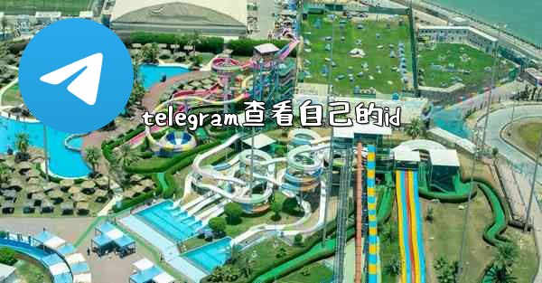 telegram查看自己的id