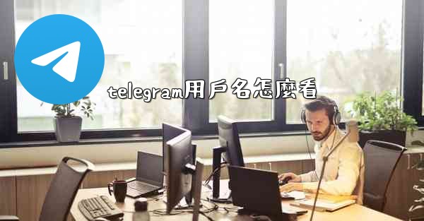 telegram用戶名怎麼看