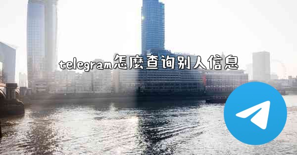 telegram怎麼查询别人信息