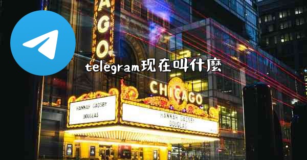 telegram现在叫什麼