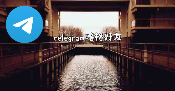 telegram暗格好友
