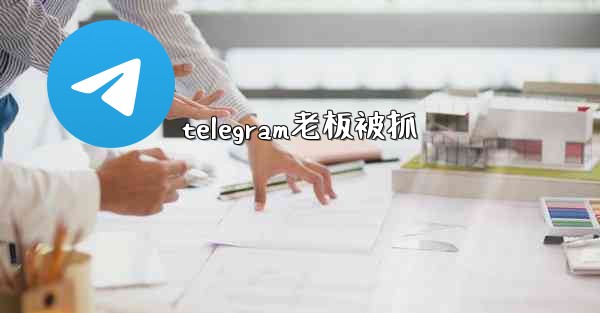 telegram老板被抓