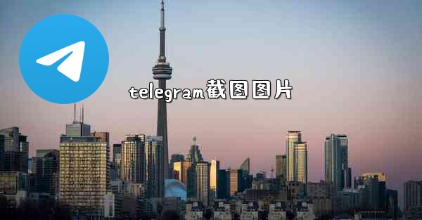 telegram截图图片