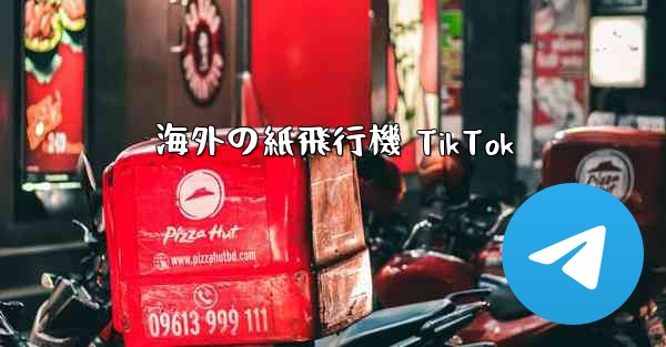 海外の紙飛行機 TikTok