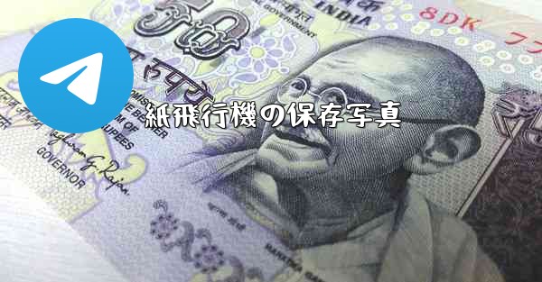 紙飛行機の保存写真