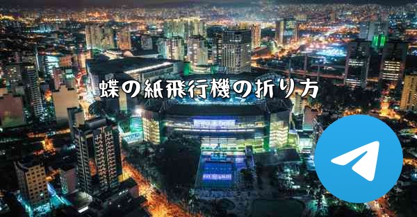 蝶の紙飛行機の折り方