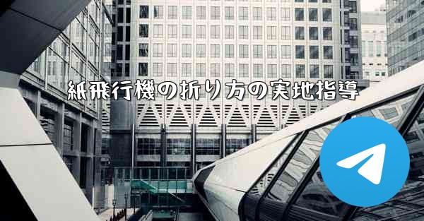 紙飛行機の折り方の実地指導