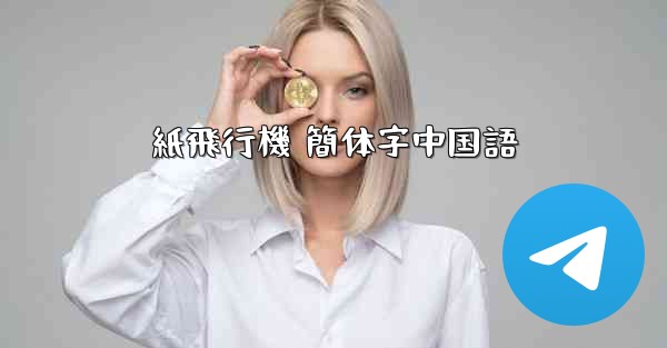 紙飛行機 簡体字中国語