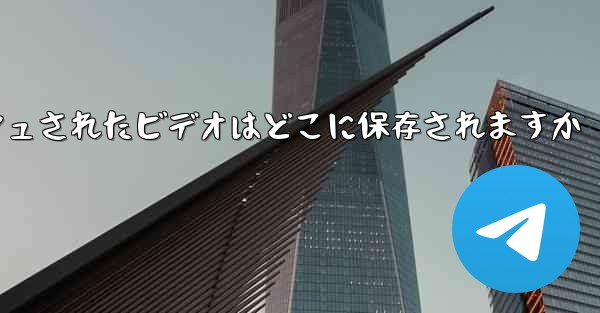 Paper Plane のキャッシュされたビデオはどこに保存されますか