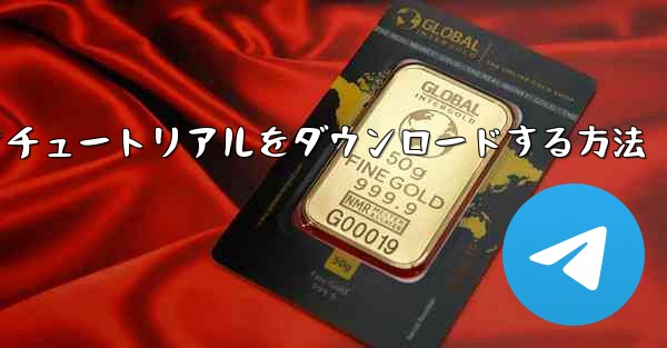 飛行機のビデオチュートリアルをダウンロードする方法