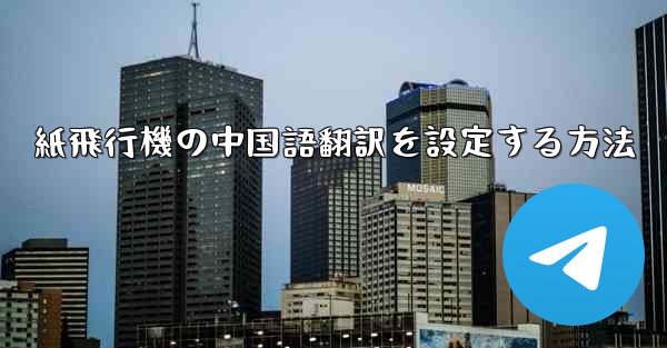 紙飛行機の中国語翻訳を設定する方法