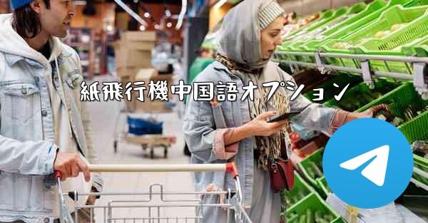 紙飛行機中国語オプション