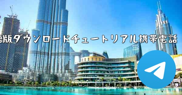シンプルな飛行機中国語版ダウンロードチュートリアル携帯電話