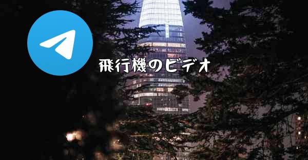 飛行機のビデオ