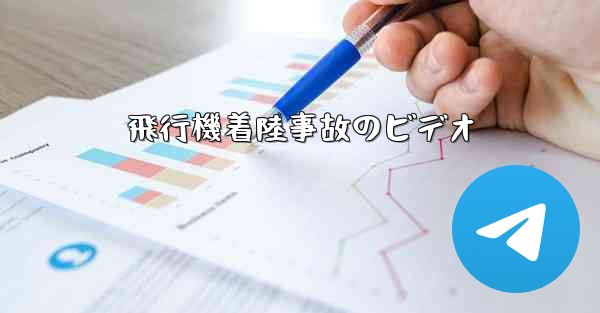 飛行機着陸事故のビデオ