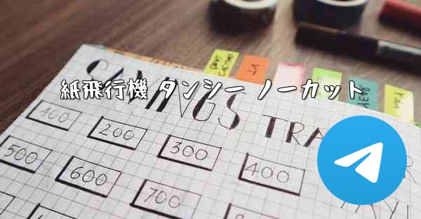 紙飛行機 タンシー ノーカット