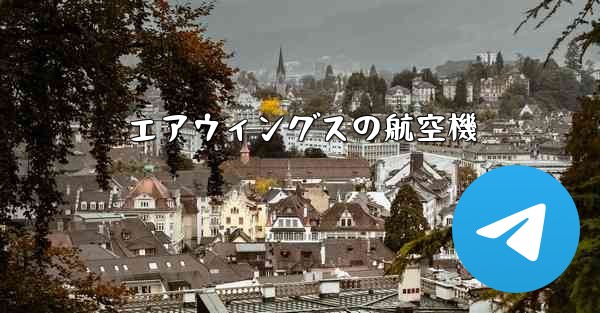 エアウィングスの航空機