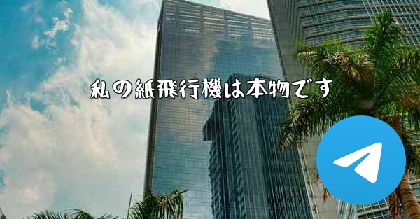 私の紙飛行機は本物です