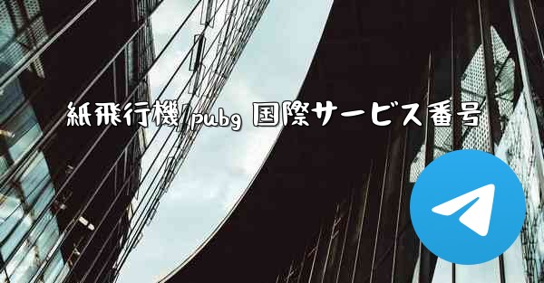 紙飛行機 pubg 国際サービス番号