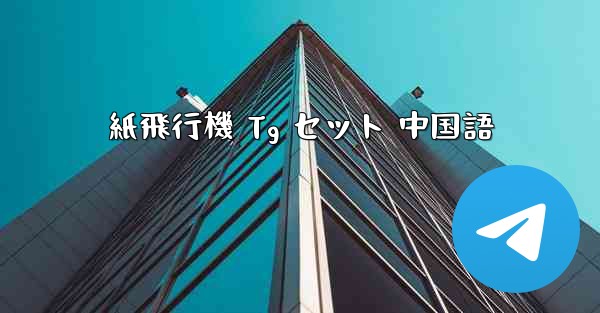 紙飛行機 Tg セット 中国語