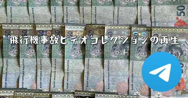 飛行機事故ビデオコレクションの再生