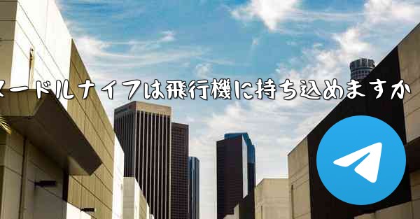 ヌードルナイフは飛行機に持ち込めますか